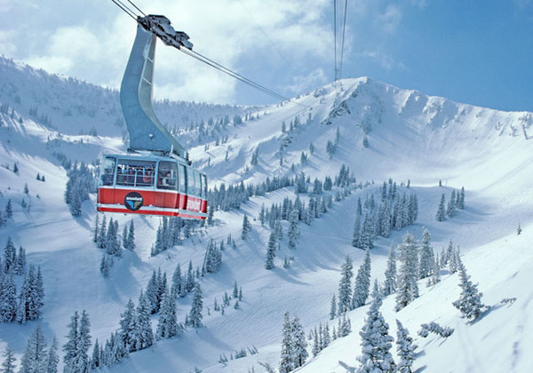 See the source image, snowbird