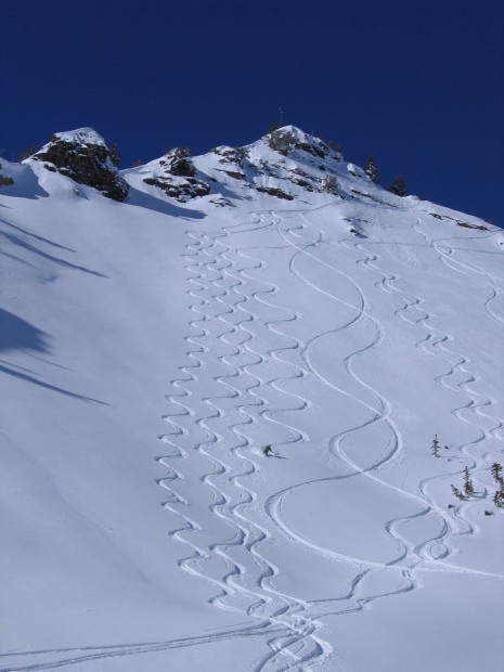 Cardiff Fork powder tracks