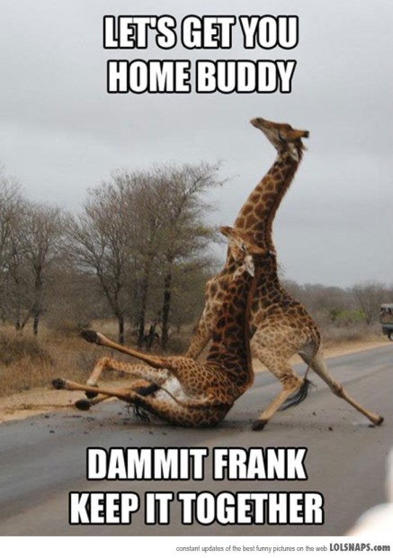 Frank isn’t drunk at all, just short on sleep