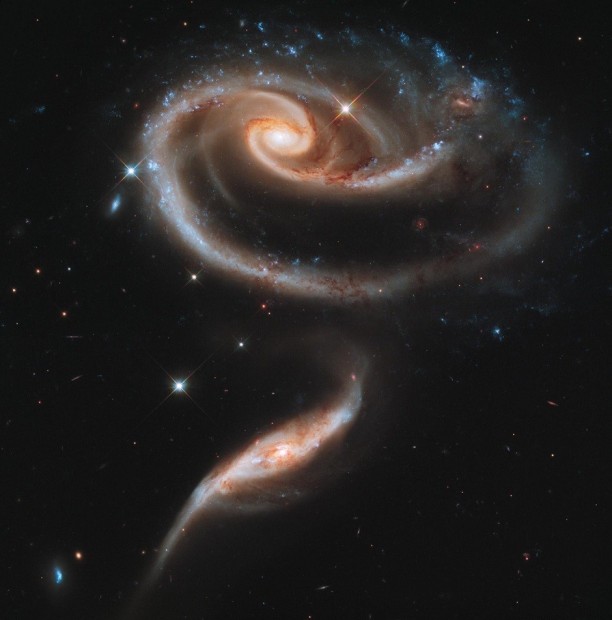 The Rose Galaxy