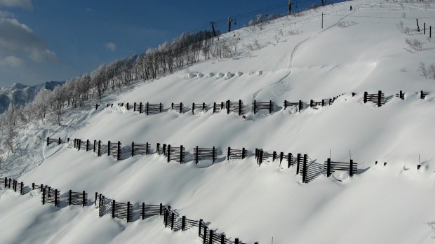 Jake Cohn in the avalanche fences of Happo One ski resort in Japan. photo: miles clark
