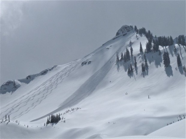 Cardiff Fork area, Big Cottonwood Canyon, Utah