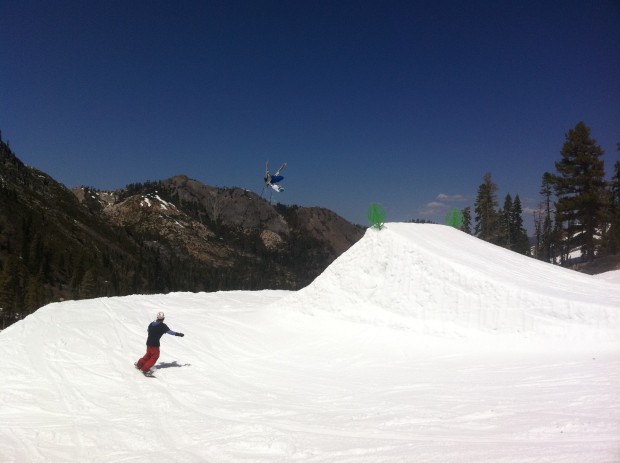 Backflip in the park today