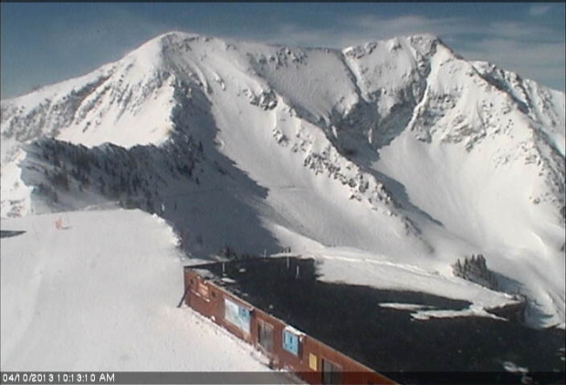 Hidden Peak web cam lookin'  doog