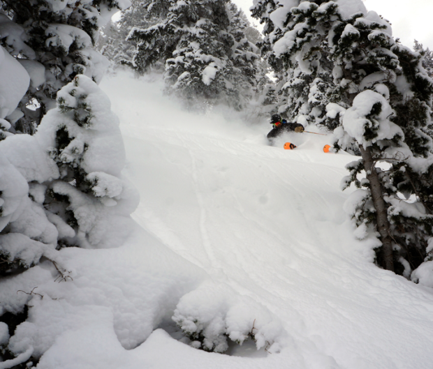 Alta Magic