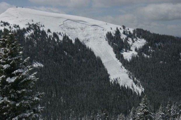 Full avalanche path