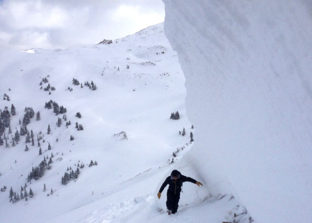 The avalanche'scrow  