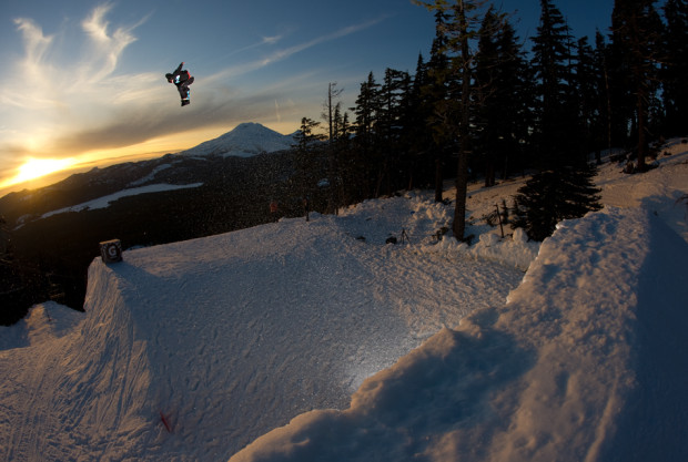 Chelone going big. photo