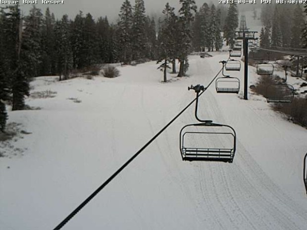 Sugar Bowl coldstream at 8:45am