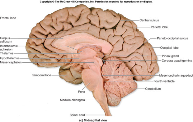 Cross section and nominclature