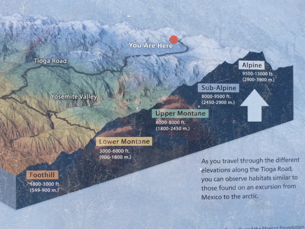 Tioga pass cross section with Yosemite Valley
