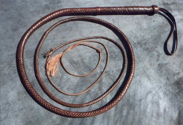 bull whip