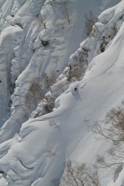 Goryu Japan.  photo: mark virgin