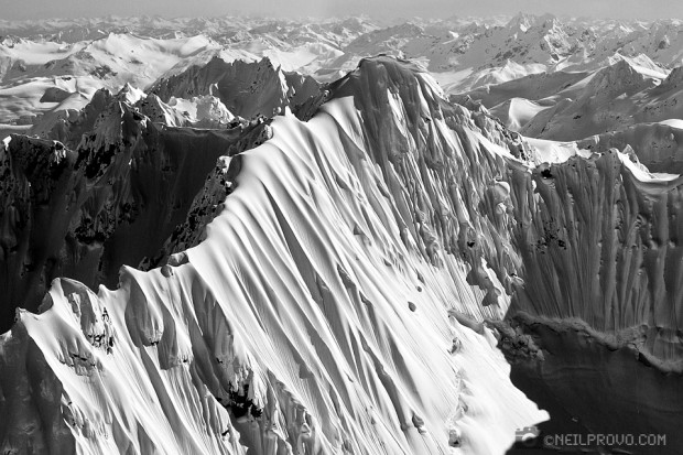 photo: neil provo