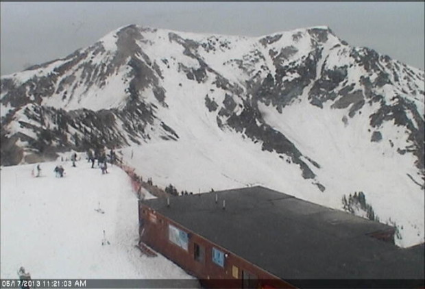Snowbird today at 11:21am.