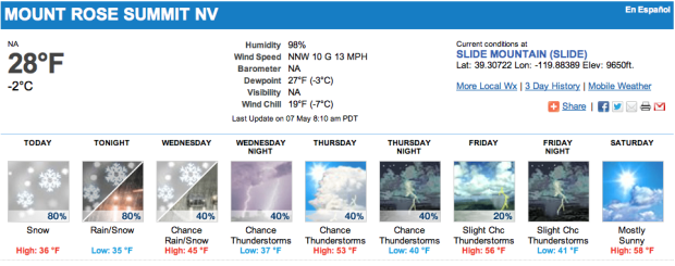 MT rose forecast