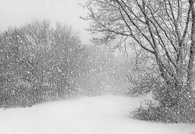 Blizzard visability, snow