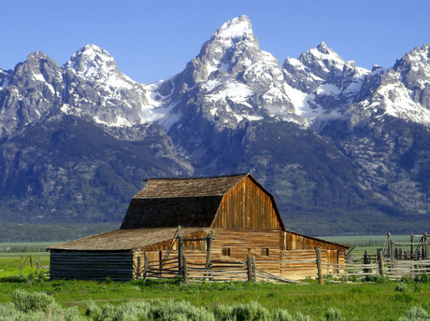 Jackson Hole classic