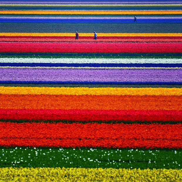 photo: Allard Schager
