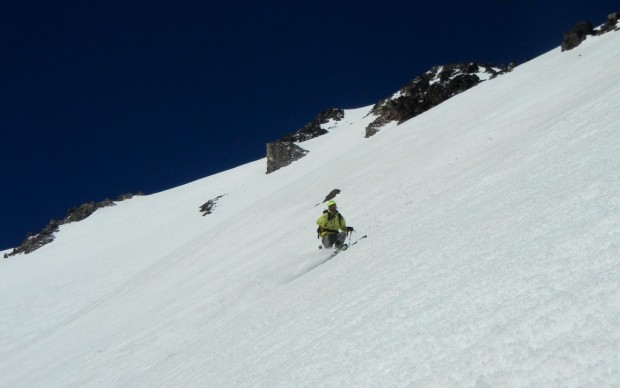 Zeb getting after some beautiful Shasta corn. Photo: Duncan Sisson.