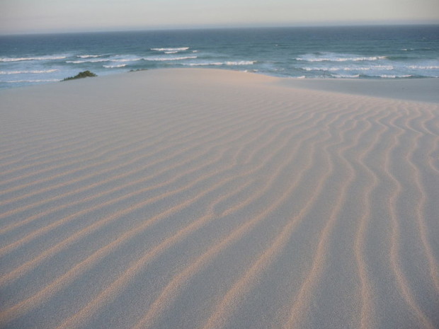 sand dune emergence