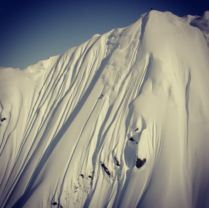 Sage in AK.  photo:  TGR