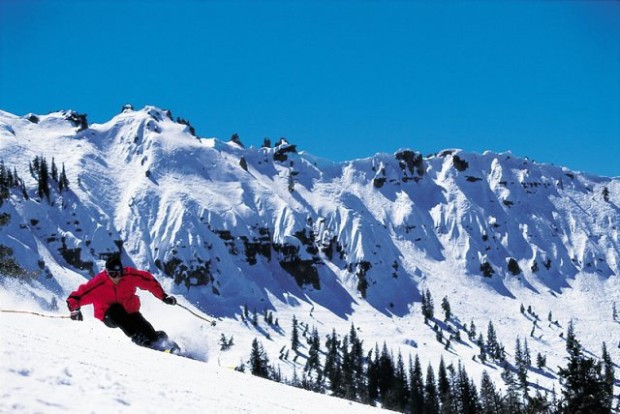 Sugar Bowl has some killer in bounds terrain
