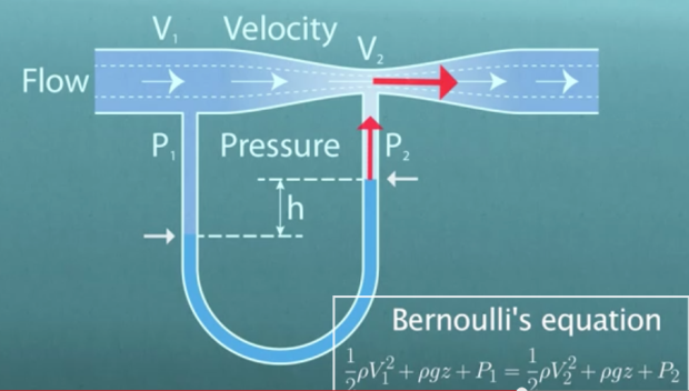 Bernoulili's  