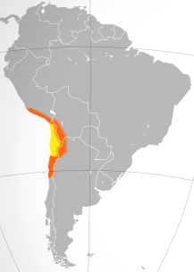 The Atacama Desert