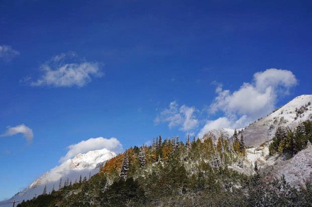 Alta, UT today