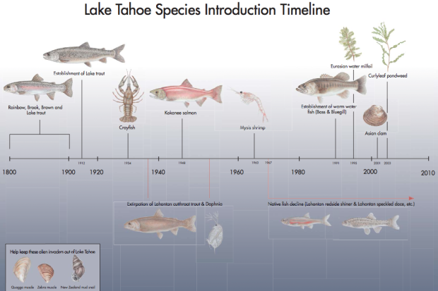 Invasive species of Lake Tahoe timeline