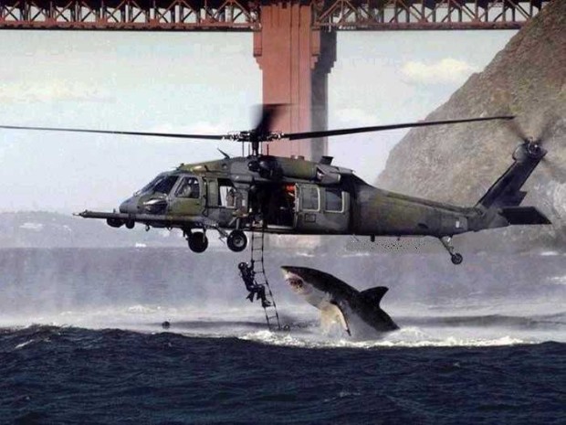 top-10-shark-movies-1