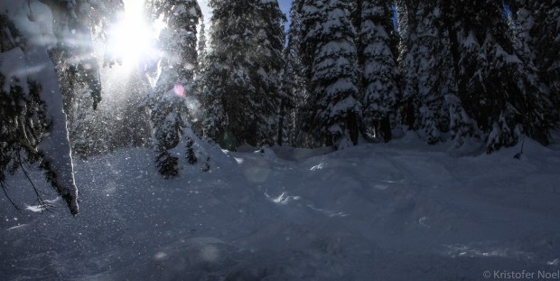 Wolf Creek 11-25-29