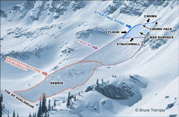 Learn your avalanche anatomy.