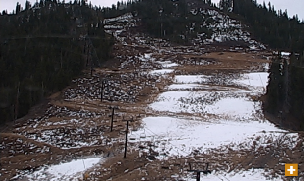 squaw valley red dog snow conditions report