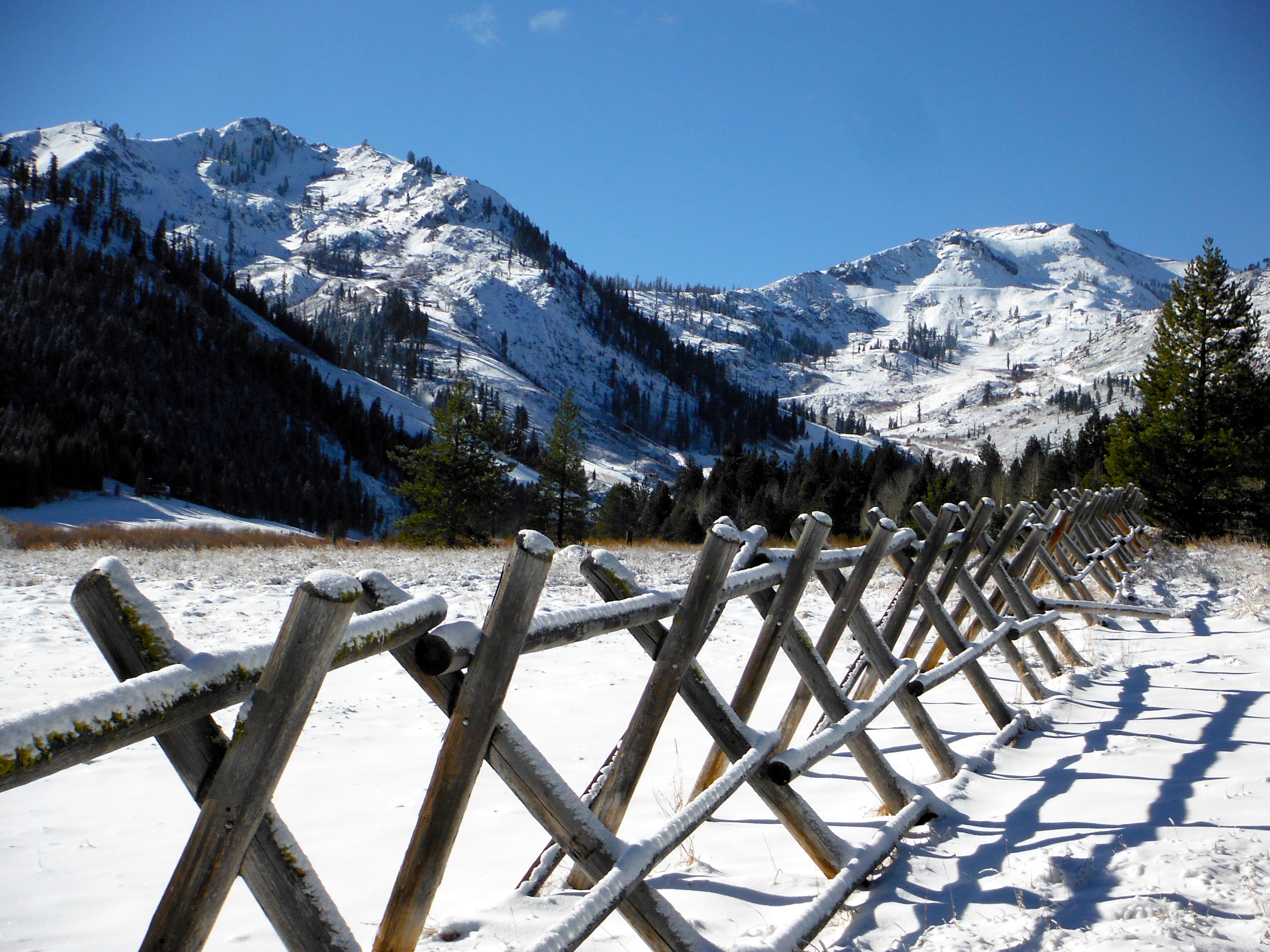 squaw meadow