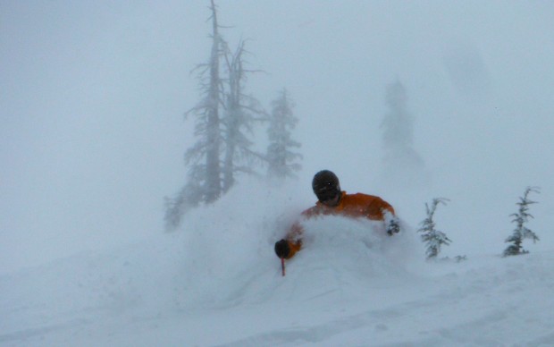 powder skiing