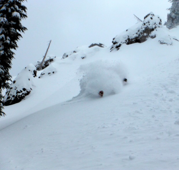sugar bowl
