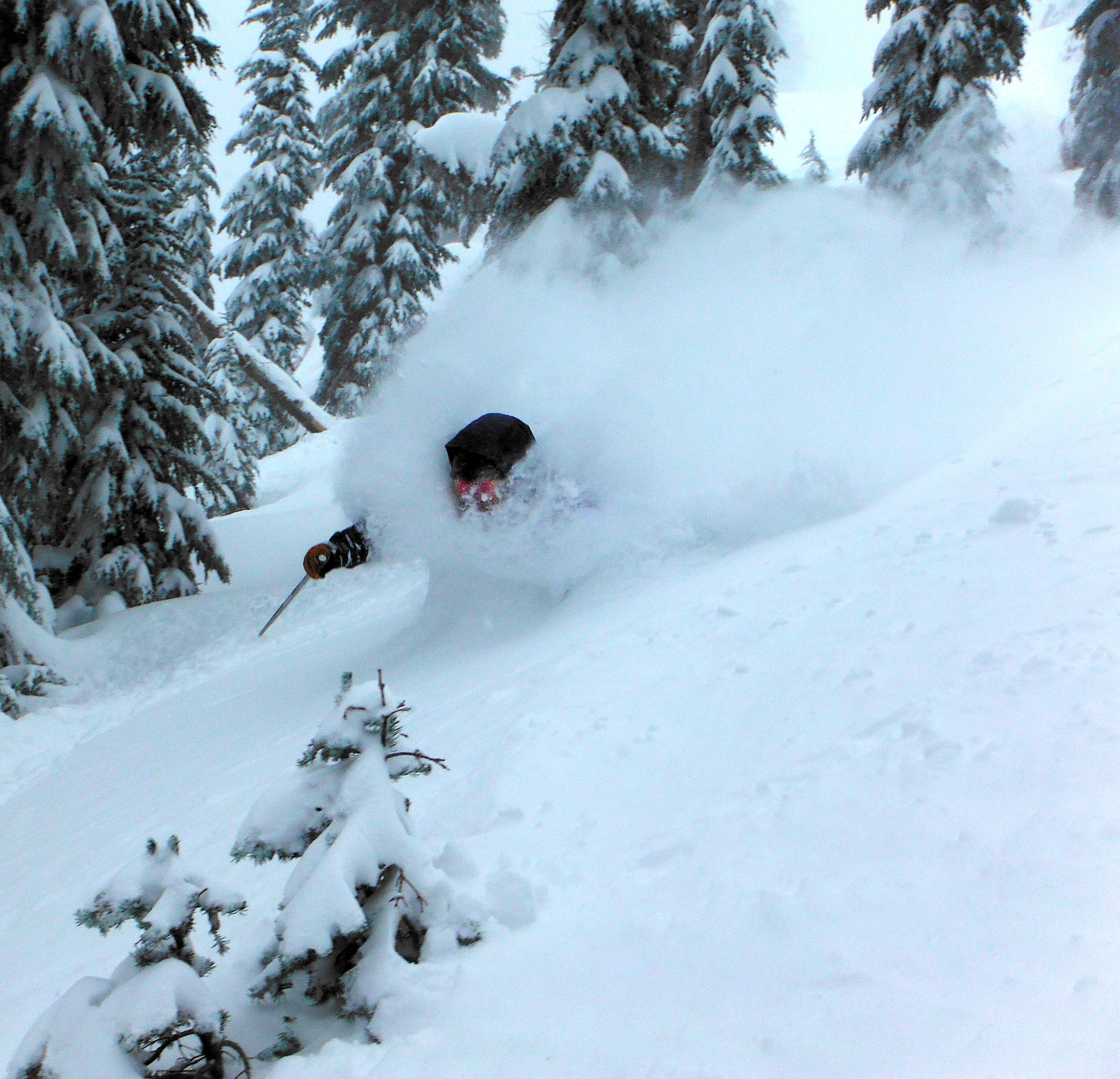 powder skiing