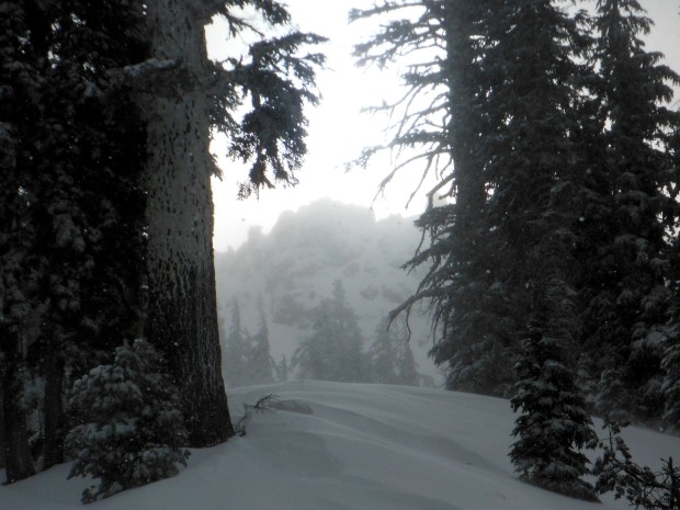 snow scene