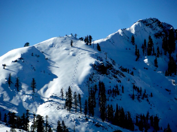 Fresh Tracks