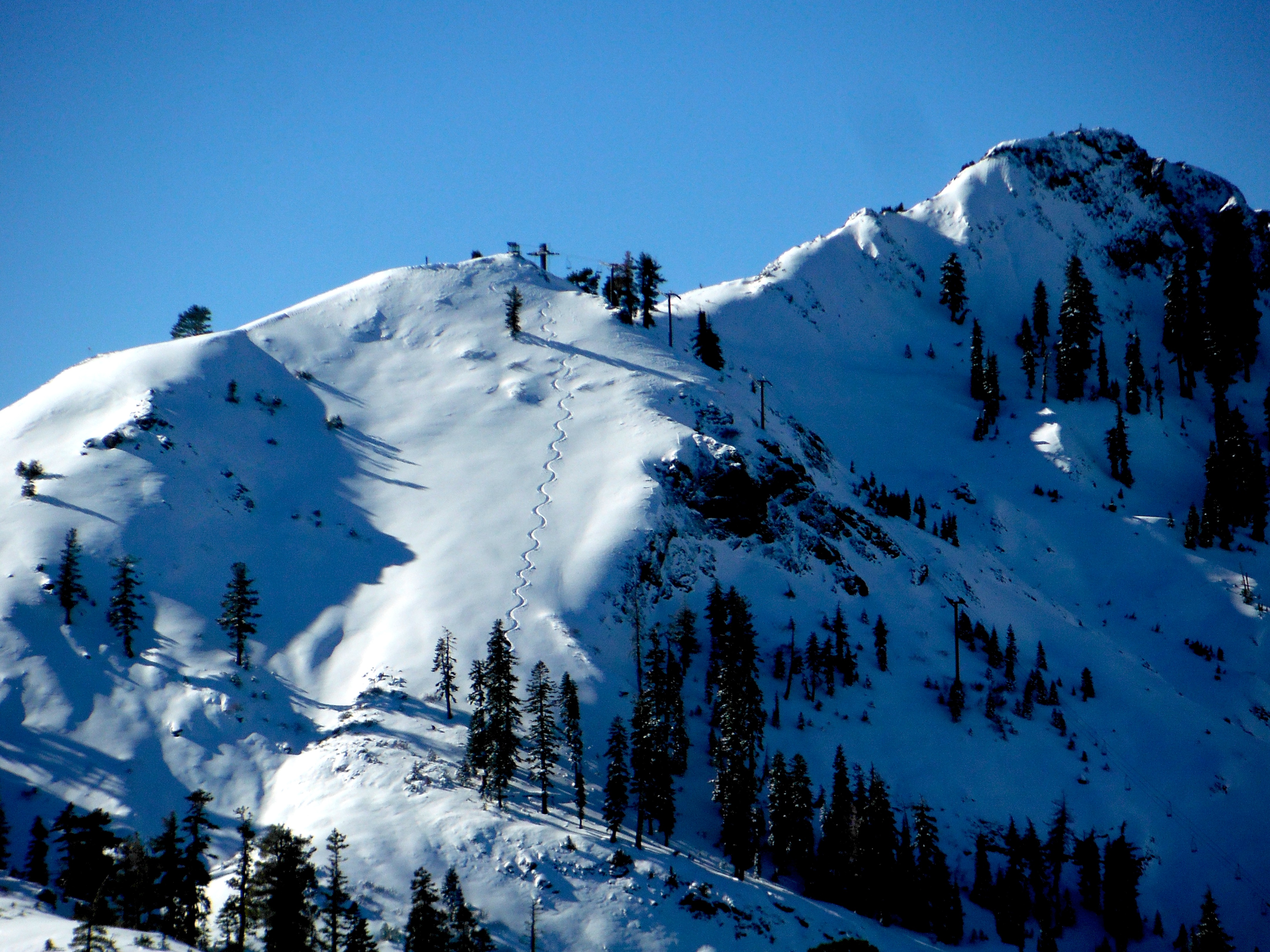 Fresh Tracks
