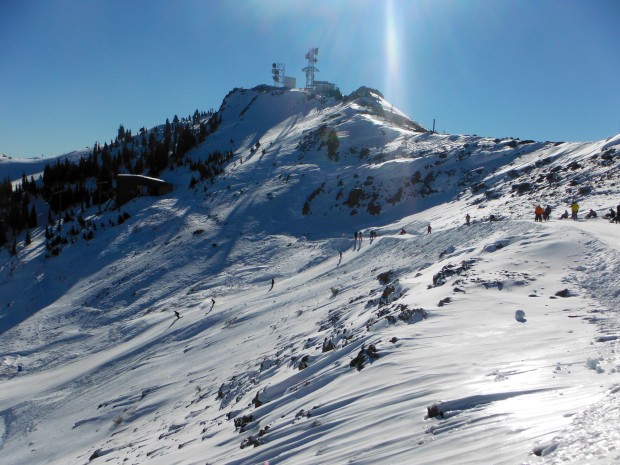 alpine meadows