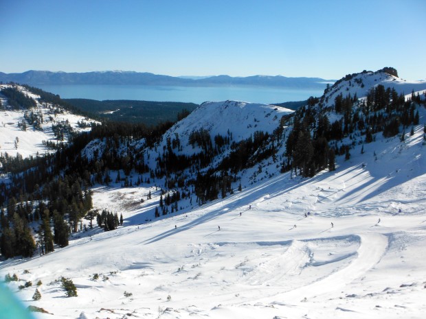 alpine meadows