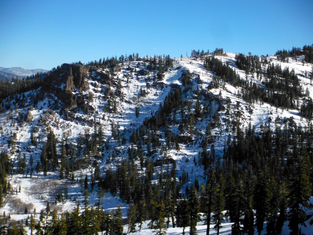 alpine meadows