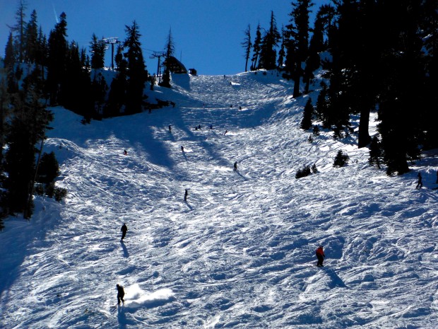 alpine meadows