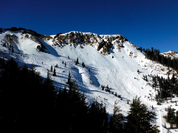 alpine meadow