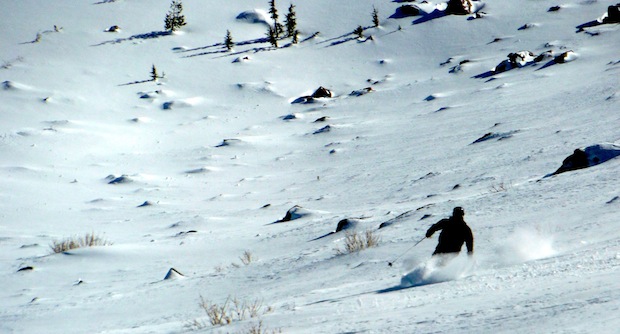 Siberia freshies and the occasional rock...