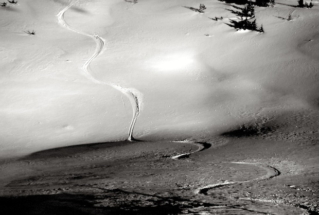 SIberia freshies