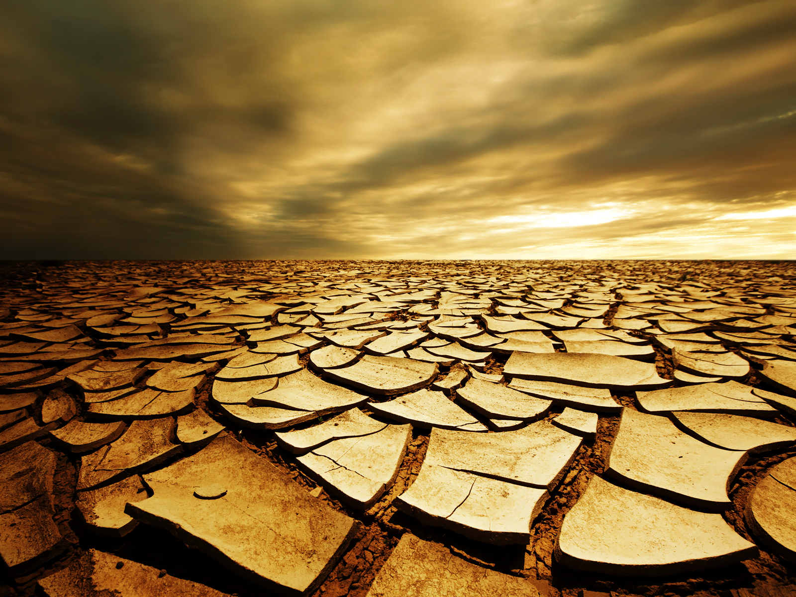 dry earth